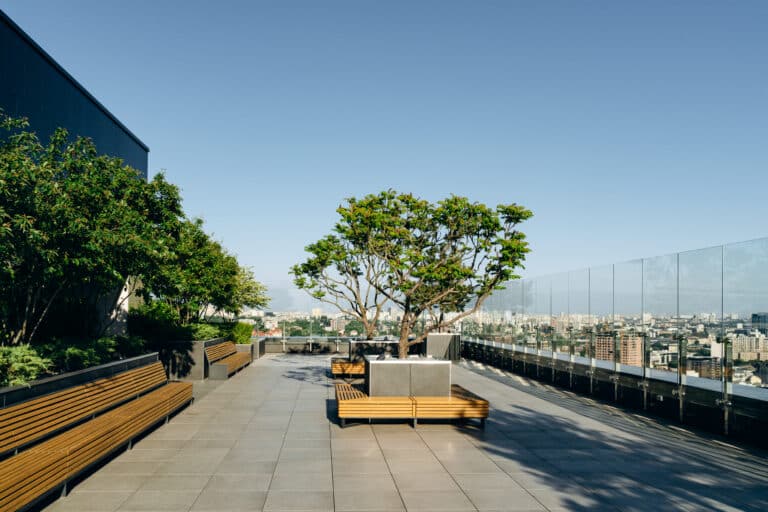 Modern, recreation area on the roof of the house with a summer terrace. Green, ornamental plants on the terrace
